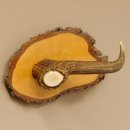 Klorollenhalter WC Rollenhalter Toilettenpapierhalter...