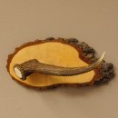 Klorollenhalter WC Rollenhalter Toilettenpapierhalter Hirschstange Hirsch Birkeschild 100.4.9