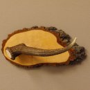 Klorollenhalter WC Rollenhalter Toilettenpapierhalter Hirschstange Hirsch Birkeschild 100.4.9