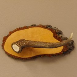 Klorollenhalter WC Rollenhalter Toilettenpapierhalter Hirschstange Hirsch Birkeschild 100.4.9