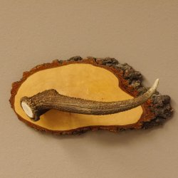 Klorollenhalter WC Rollenhalter Toilettenpapierhalter Hirschstange Hirsch Birkeschild 100.4.9