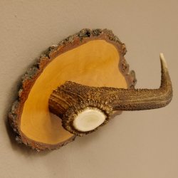 Klorollenhalter WC Rollenhalter Toilettenpapierhalter Hirschstange Hirsch Birkeschild 100.4.9