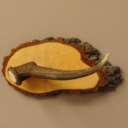 Klorollenhalter WC Rollenhalter Toilettenpapierhalter Hirschstange Hirsch Birkeschild 100.4.9