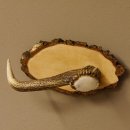 Klorollenhalter WC Rollenhalter Toilettenpapierhalter Hirschstange Hirsch Birkeschild 100.4.10