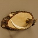 Klorollenhalter WC Rollenhalter Toilettenpapierhalter Hirschstange Hirsch Birkeschild 100.4.10