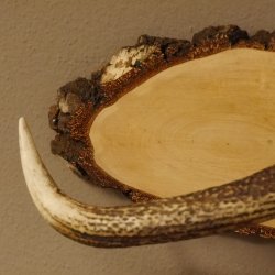 Klorollenhalter WC Rollenhalter Toilettenpapierhalter Hirschstange Hirsch Birkeschild 100.4.10