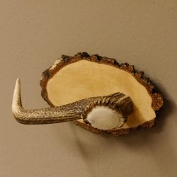 Klorollenhalter WC Rollenhalter Toilettenpapierhalter Hirschstange Hirsch Birkeschild 100.4.10