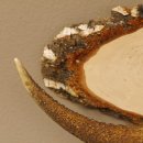 Klorollenhalter WC Rollenhalter Toilettenpapierhalter Hirschstange Hirsch Birkeschild 100.4.11