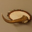 Klorollenhalter WC Rollenhalter Toilettenpapierhalter Hirschstange Hirsch Birkeschild 100.4.11