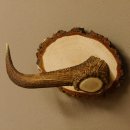 Klorollenhalter WC Rollenhalter Toilettenpapierhalter Hirschstange Hirsch Birkeschild 100.4.11