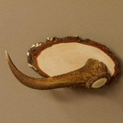 Klorollenhalter WC Rollenhalter Toilettenpapierhalter Hirschstange Hirsch Birkeschild 100.4.11