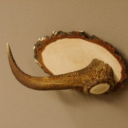 Klorollenhalter WC Rollenhalter Toilettenpapierhalter Hirschstange Hirsch Birkeschild 100.4.11