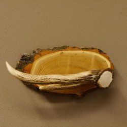 Klorollenhalter WC Rollenhalter Toilettenpapierhalter Hirschstange Hirsch Akazieschild 100.4.12