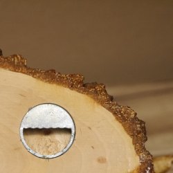 Klorollenhalter WC Rollenhalter Toilettenpapierhalter Hirschstange Hirsch Akazieschild 100.4.12