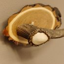 Klorollenhalter WC Rollenhalter Toilettenpapierhalter Hirschstange Hirsch Birkeschild 100.4.13