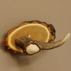 Klorollenhalter WC Rollenhalter Toilettenpapierhalter Hirschstange Hirsch Birkeschild 100.4.13