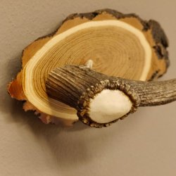 Klorollenhalter WC Rollenhalter Toilettenpapierhalter Hirschstange Hirsch Birkeschild 100.4.13