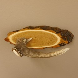 Klorollenhalter WC Rollenhalter Toilettenpapierhalter Hirschstange Hirsch Birkeschild 100.4.13