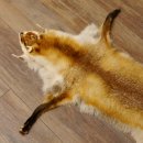 Rotfuchsfell Fuchsfell Fuchs Fell Länge 116 cm Vorleger präpariert Deko