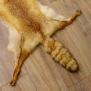Rotfuchsfell Fuchsfell Fuchs Fell Länge 116 cm Vorleger präpariert Deko