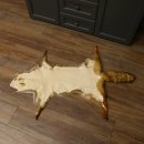 Rotfuchsfell Fuchsfell Fuchs Fell Länge 116 cm Vorleger präpariert Deko