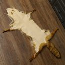 Rotfuchsfell Fuchsfell Fuchs Fell Länge 116 cm Vorleger präpariert Deko