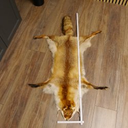 Rotfuchsfell Fuchsfell Fuchs Fell Länge 116 cm Vorleger präpariert Deko