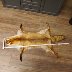 Rotfuchsfell Fuchsfell Fuchs Fell Länge 116 cm Vorleger präpariert Deko