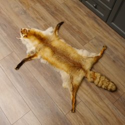Rotfuchsfell Fuchsfell Fuchs Fell Länge 116 cm Vorleger präpariert Deko