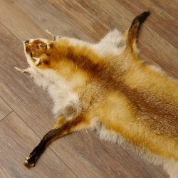 Rotfuchsfell Fuchsfell Fuchs Fell Länge 116 cm Vorleger präpariert Deko