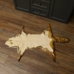 Rotfuchsfell Fuchsfell Fuchs Fell Länge 116 cm Vorleger präpariert Deko