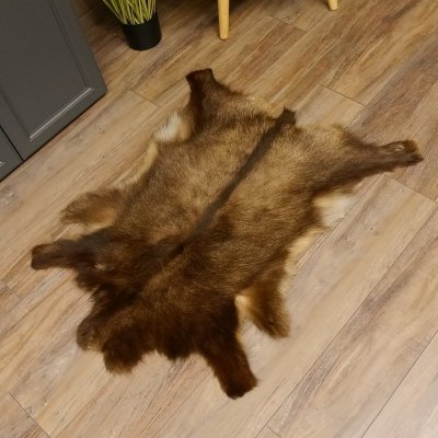 Gams Fell Tierfell Gamsfell Winterfell Gemse Vorleger Dekoration Länge 112 cm 87.7.21