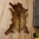 Gams Fell Tierfell Gamsfell Winterfell Gemse Vorleger Dekoration Länge 112 cm 87.7.21