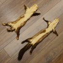 Marderfell Marder Fell 2 er Set Steinmarder Tier Vorleger