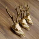 Bois de chevreuil 3 pièces Bois 375 g/295 g/350 g Bois de chevreuil mâle 12 150