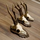 Bois de chevreuil, 3 pièces, chevreuils...