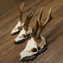 Bois de chevreuil, 3 pièces, chevreuils...