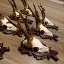 Deer antlers, 3 pieces, roe deer bucks, deer buck antlers, carved trophy signs 22.1320