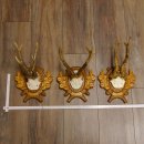 Bois de chevreuil, 3 pièces, chevreuils...