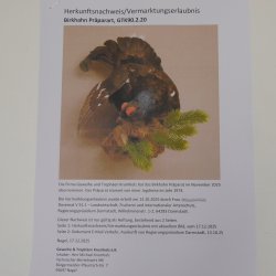 Birkhuhn Kip Volledig preparaat Preparaat Hoogte 60 cm met herkomstbewijs 90.2.19