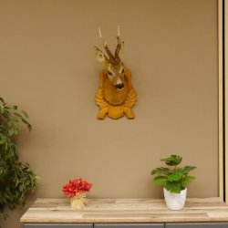 Testa di capriolo imbalsamata Corna di capriolo Trofeo intagliato Testa imbalsamata 85.11.93