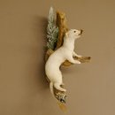 Erminino Donnola Inverno Pelliccia Altezza 33 cm Animale...