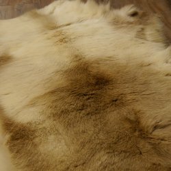 Reindeer Ren Fur Rug Reindeer Fur Decorative Animal Rug Length 147 cm