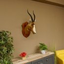 Blessbock Buntbock HL 34,5 cm Antilope Tête Épaules Préparation Plaque trophée 95.5.16