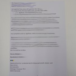 Jagdfasan Fasan Ganzpräparat Vogel Präparat Trophäe mit Herkunftsnachweis 90.5.71