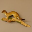 Hermelin Wiesel Sommer Fell Präparat Höhe 15 cm Tierpräparat 89.2.91