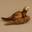 Iltis Tier Präparat Höhe 26 cm auf Holzstamm Tierpräparat taxidermy 89.4.79