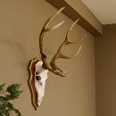 Roodhertengewei 6 eindhert hoogte 59 cm hertengewei gewei...