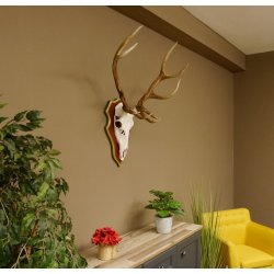 Roodhertengewei 6 eindhert hoogte 59 cm hertengewei gewei gesneden trofeeplaat 70.1031