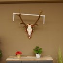 Bois de cerf rouge 6 cors Hauteur 59 cm Bois de cerf Plaque trophée sculptée 70.1031